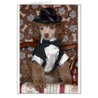 Chiot de caniche Brown en costume