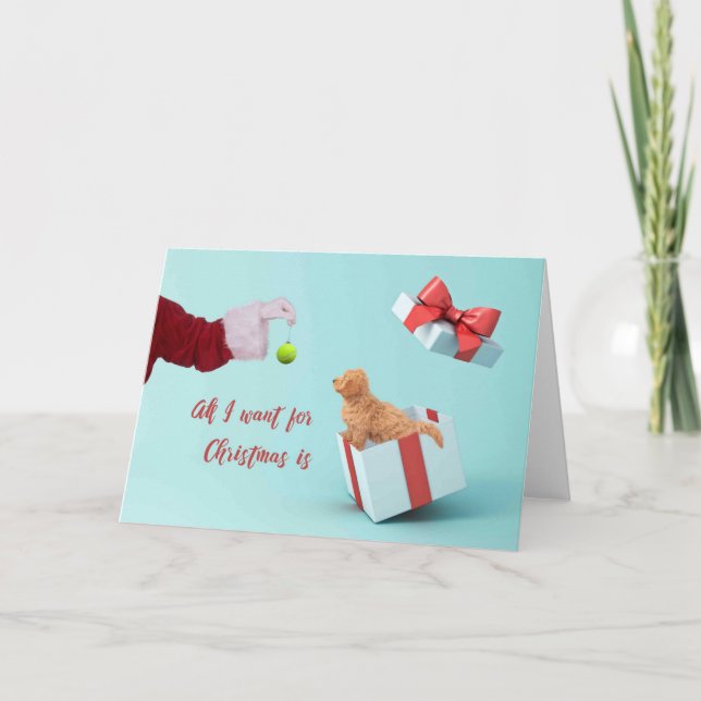 Chiot de carte de Noël (Devant)