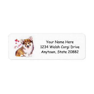 Chiot de corgi de Gallois avec des coeurs