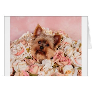 Chiot de fleur