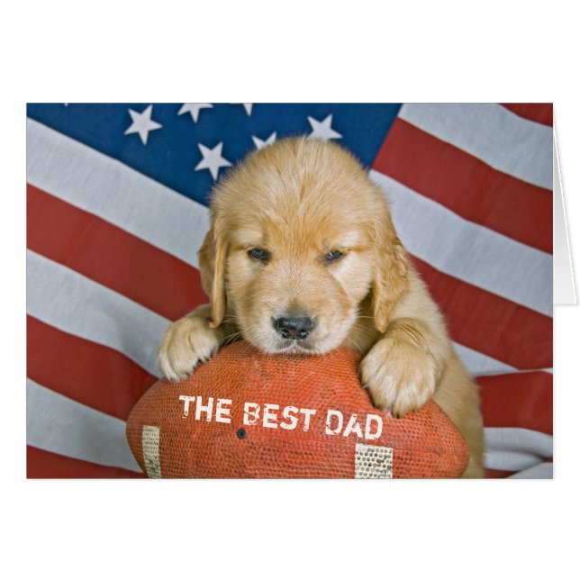 Chiot de Golden Retriever sur le football pour pap (Devant horizontal)