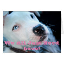 Chiot de pitbull de bébé