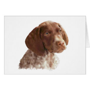 Chiot de Shorthair d'Allemand
