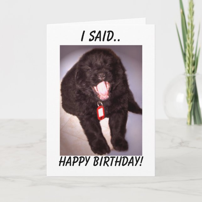 Chiot de Terre-Neuve de carte d'anniversaire (Devant)