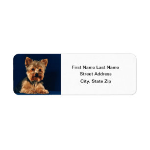 Chiot de Yorkshire Terrier