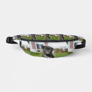 Chiot en carlin noir