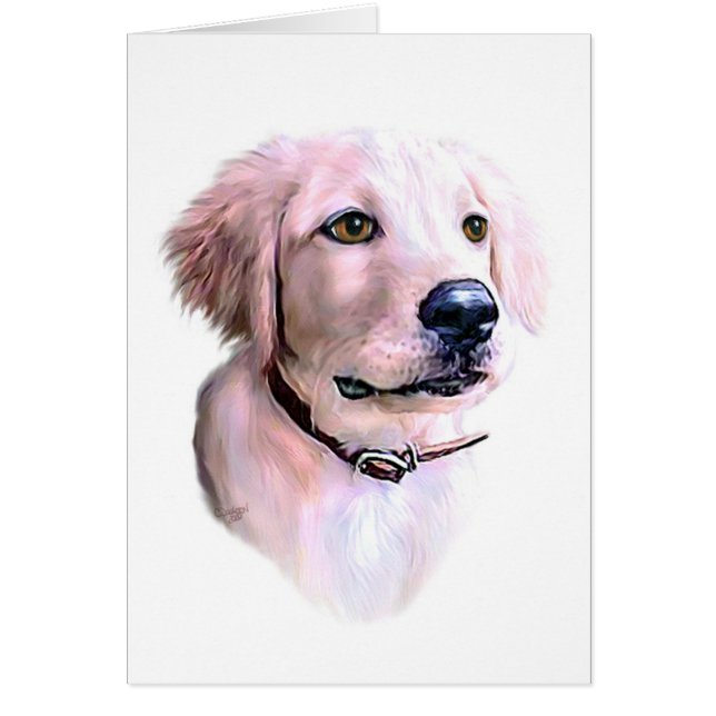 Chiot Golden Retriever (Devant)