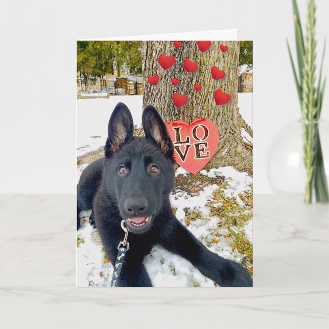 Chiot GSD noir avec coeur et carte Valentine Love (Devant)