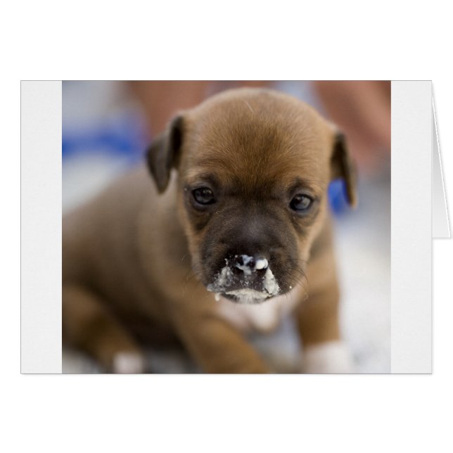 Chiot Mucky (Devant horizontal)