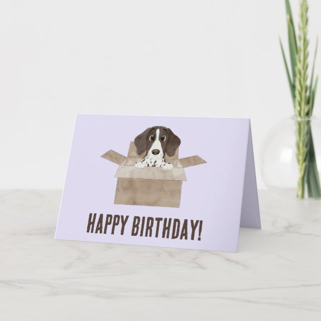 Chiot pointeur dans boîte Carte d'anniversaire (Devant)