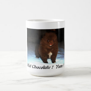 Chiot pomeranian de chocolat sur la tasse