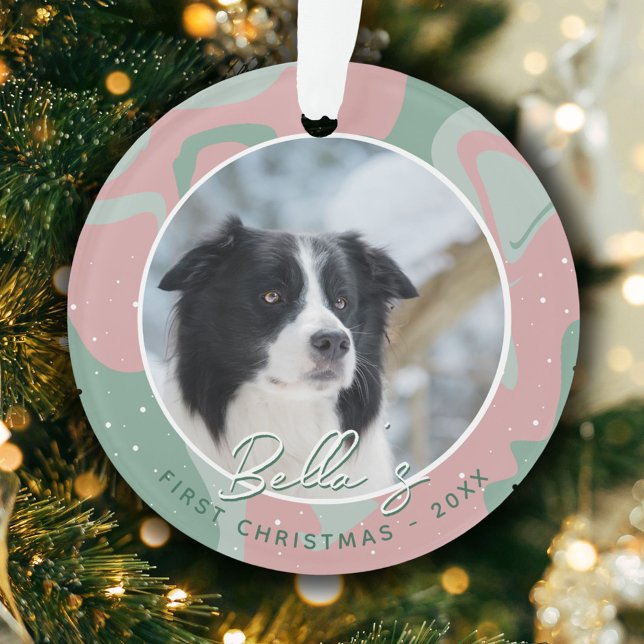 Chiot première frontière de Noël Collie Chien phot (Créateur téléchargé)