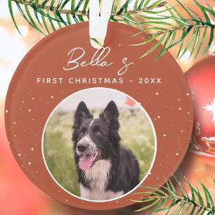 Chiot première frontière de Noël Collie Chien phot