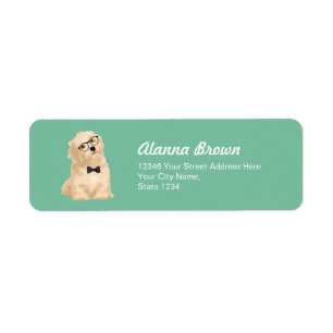 Chiot rougeâtre de Havanese de hippie mignon pour