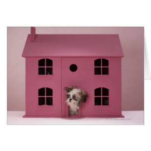 Chiot scrutant hors de la maison de poupée