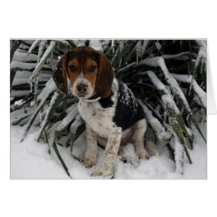 Chiot Snoopy mignon de beagle dans la neige