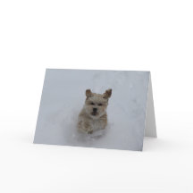Chiot tapant à travers la carte de voeux de neige