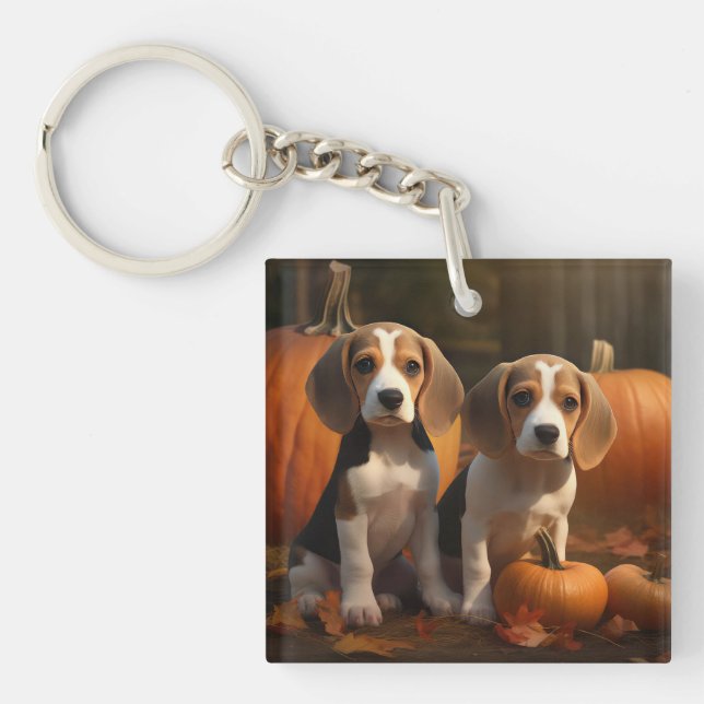 Chiots Beagle Autumn Delight Citrouille (Devant)