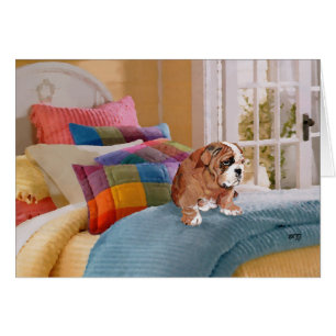 Chiots Bouledogue Anglais