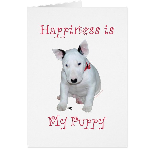 Chiots Bull Terrier (Devant)