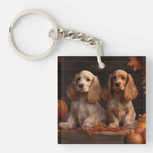 Chiots Cocker Spaniel Délice d'Automne Citrouille