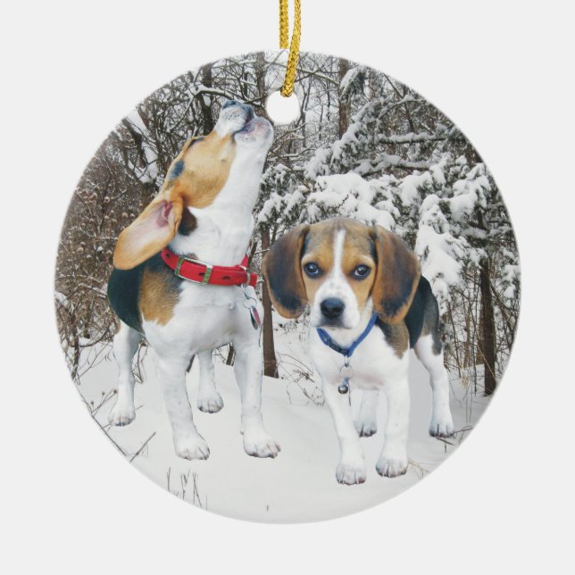 Chiots de beagle de neige en ornement de Noël en (Devant)
