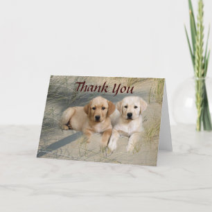 Chiots de carte de remerciements de labrador