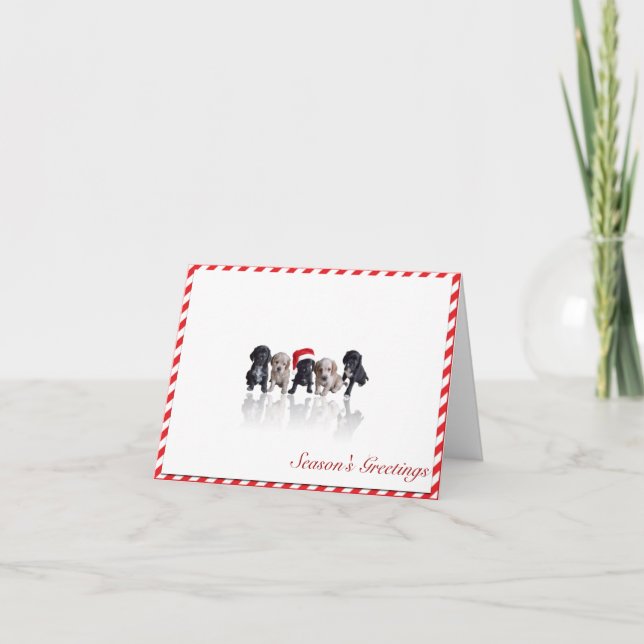 Chiots de cocker dans la carte de Noël de (Devant)