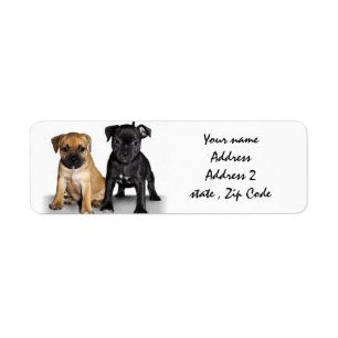 Chiots étiquettes de adresse du Staffordshire