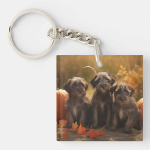Chiots Griffon à poil dur pointer en Automne