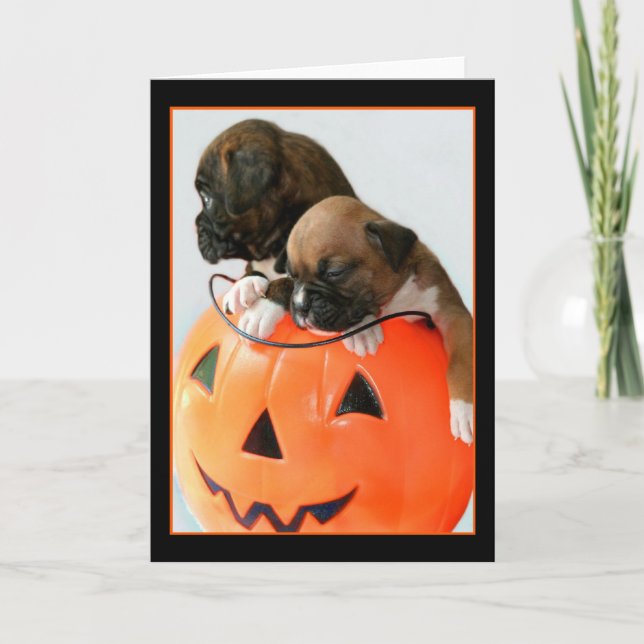 Chiots Halloween Boxer carte de voeux (Devant)