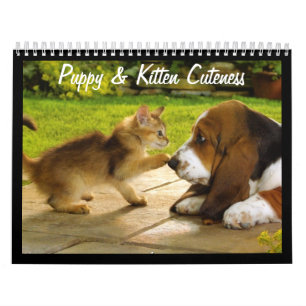 Chiots mignons et chatons Calendrier 2018