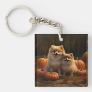 Chiots Poméranie Joie d'Automne Citrouille