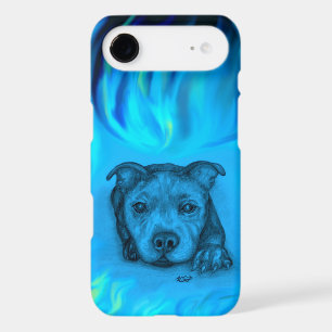 Chiots Staffy Bleu