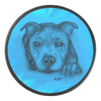 Chiots Staffy Bleu