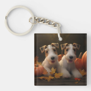 Chiots Terrier Fox à poil lisse Délice d'Automne C