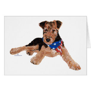 Chiots Terrier Patriotique