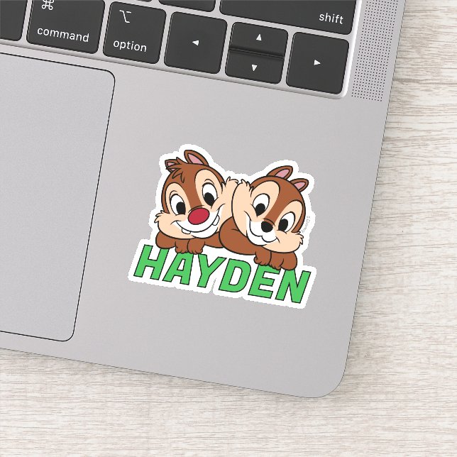 Chip & Dale Smile (Detail)