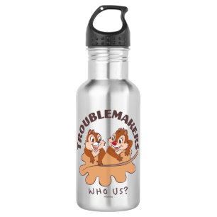 Chip & Dale Troublemakers 532 Ml Water Bottle