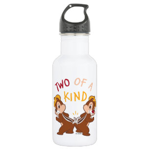 Chip 'n Dale Two of a Kind 532 Ml Water Bottle