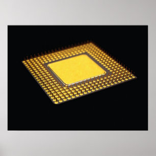 Chip Poster