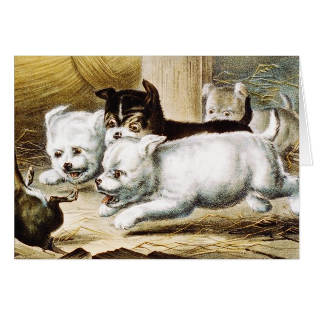 Chipies Rat Terrier - Art Vintage (Devant horizontal)
