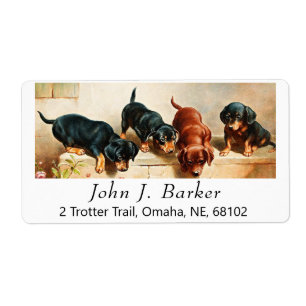 Chipies vintages mignonnes Dachshund