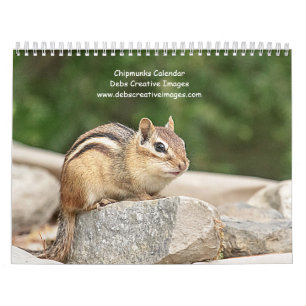 Chipmunk 2026 calendar