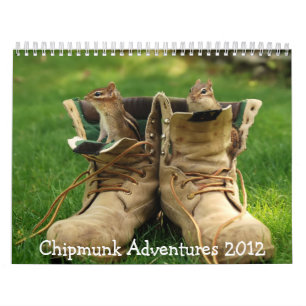 Chipmunk Adventures 2012 Calendar
