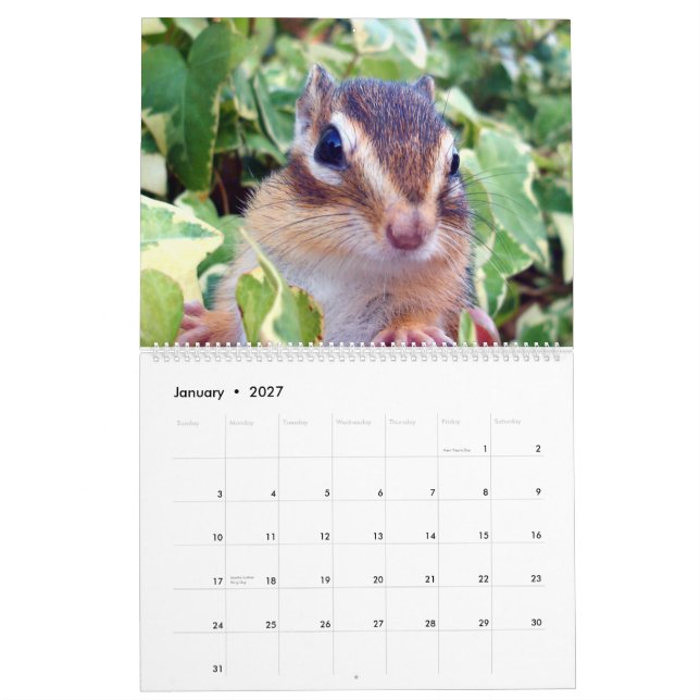 chipmunk (All country) Calendar (Jan 2027)
