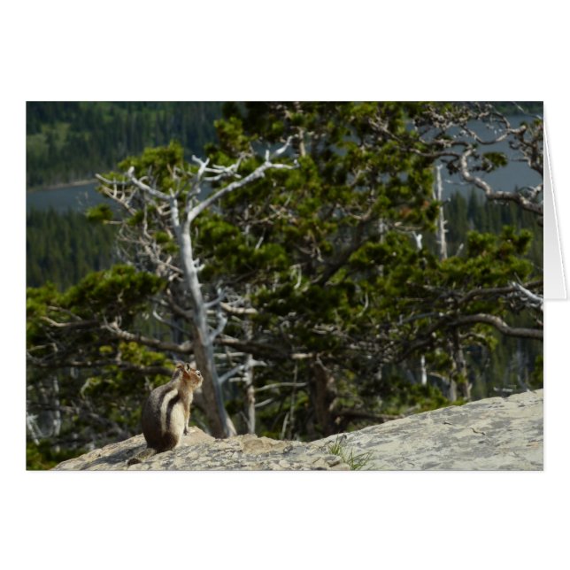 Chipmunk at Two Medicine Lake Overlook (Front Horizontal)