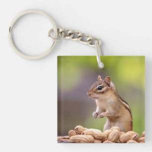 Chipmunk aux cacahuètes