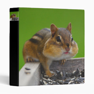 chipmunk binder