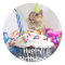 chipmunk birthday celebration
